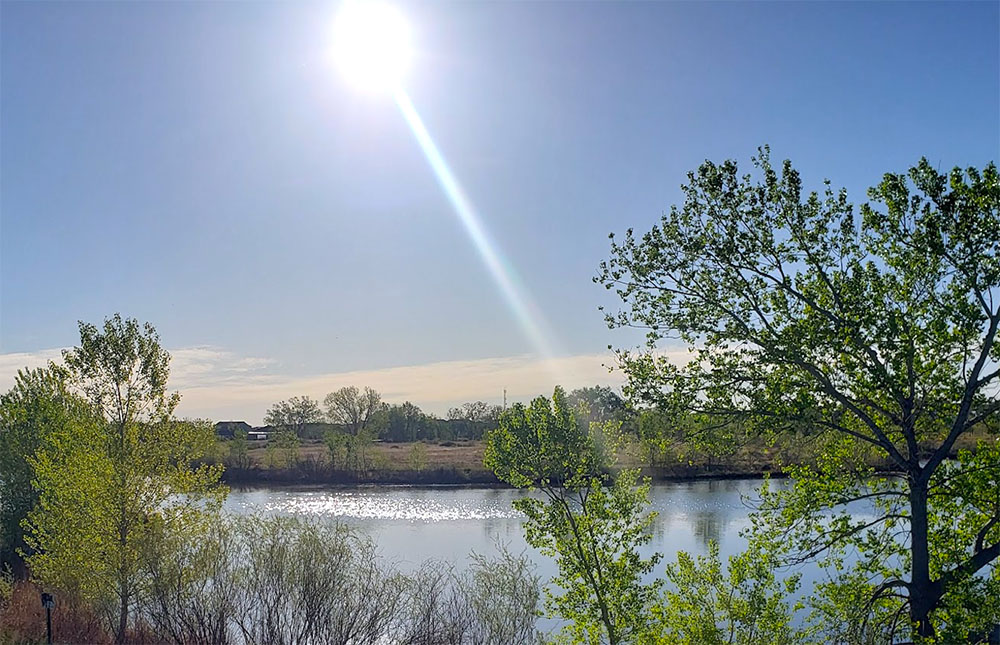 Walking with the Sun